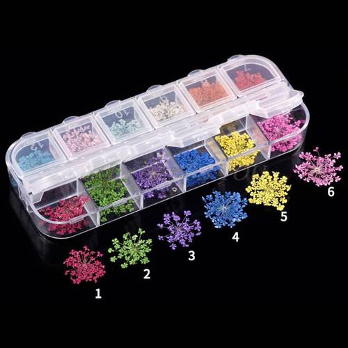 24Pcs Real Pressed Flower Lace Dried Flower Nail Art Resin Jewelry Making For DIY Crafts Shipping