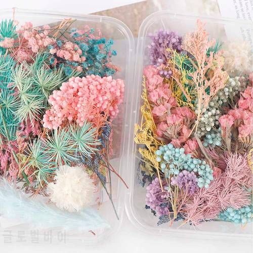 Mix Beautiful Real Dried Flowers Natural Flower Art Craft Scrapbooking Resin Jewelry Craft Make Epoxy Mold Loose Flower Material