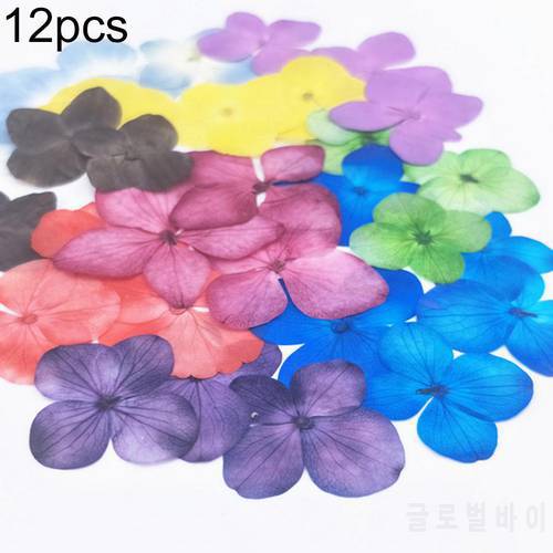 12Pcs Natural Pressed Decorative Dried Flowers Dried Flower Petals Artificial Flowers DIY Phone Case Party Wedding Decoration