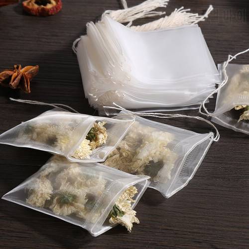 Transparent Nylon Teabags Empty Tea Bags Disposable Nylon Tea Bags with String Heal Seal Filter Bag for Spice Herb Loose Tea