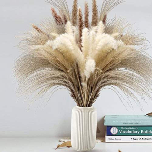 30pcs Natural Reed Dried Flowers Bulrush for Decoration Dry Flowers Real Pampas Grass Party Wedding Tall Fall Home Decor