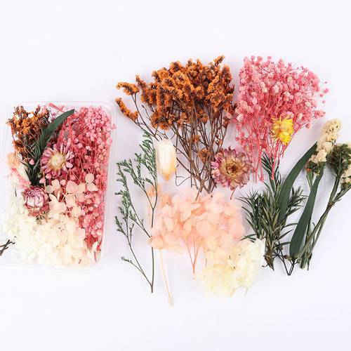 Natural Dried Flowers Box DIY Photo Frame Dry Flower Material Bag Epoxy Resin Flower Decoration Christmas Decoration Accessories
