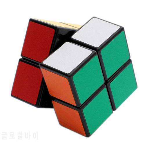 SHEGNSHOU Cube 2X2 Magic Cube 2 By 2 Cube 50mm Speed Pocket Sticker Puzzle Cube Professional Educational Toys For Children