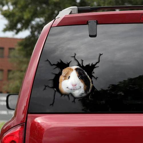 Guinea Pig Decal - fits cars,windows,laptops and any smooth surface,Guinea Pig Stickers, Animal Decal,Custom Guinea Pig Sticker,