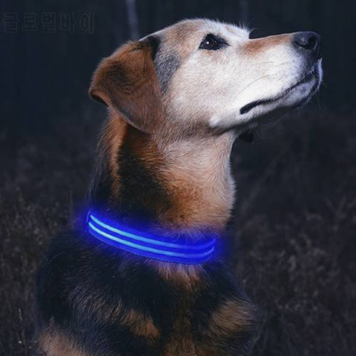 Illuminated LED USB Rechargeable Nylon Dog Collar With Quick Release Safety Buckle Night Glow Safe Walking Exercising At Night