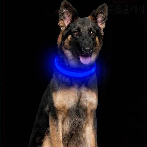 Adjustable Nylon Flashing Luminous Necklace Puppy Anti-lost Supplies LED Safety Dog Collar Batteries Or USB Light Up Pet Collar