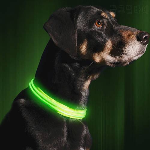 LED Safety Dog Collar Batteries Or USB Light Up Pet Collar Adjustable Nylon Flashing Luminous Necklace Puppy Anti-lost Supplies