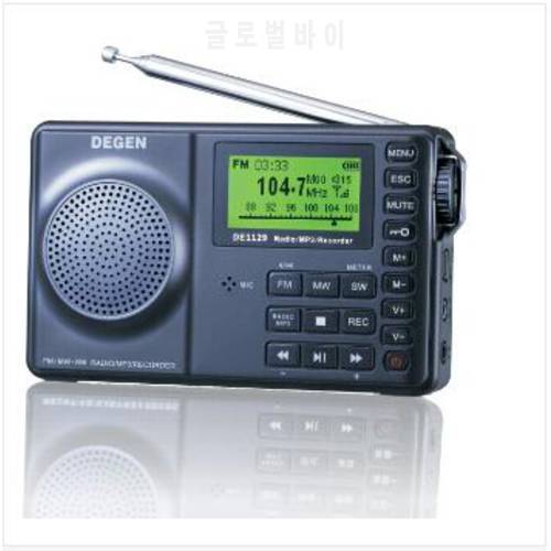 Degen DE1129 FM MW SW DSP ATS 4GB MP3 Player Digital Recorder Portable Intelligent Multifunctional LED Radio