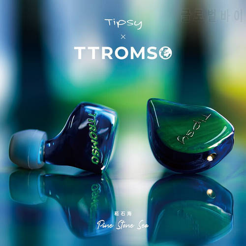 Tipsy TTromso In Ear Monitors Professional Wired Earphone Dynamic Driver Extra Bass Headphones Detachable Cable