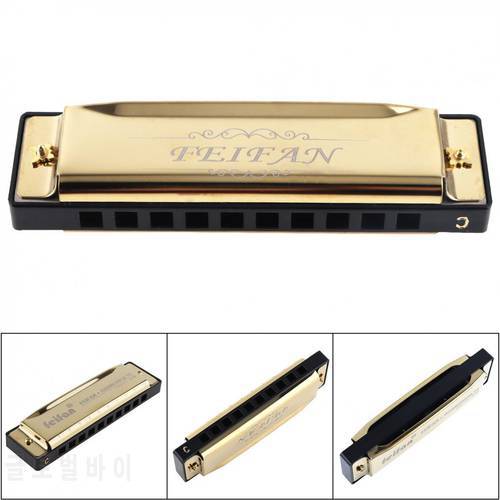 Portable 10 Holes 20 Tone Matte Gold Harmonica Blues Harp Mouth Organ Stainless Steel Musical Instrument for Beginner