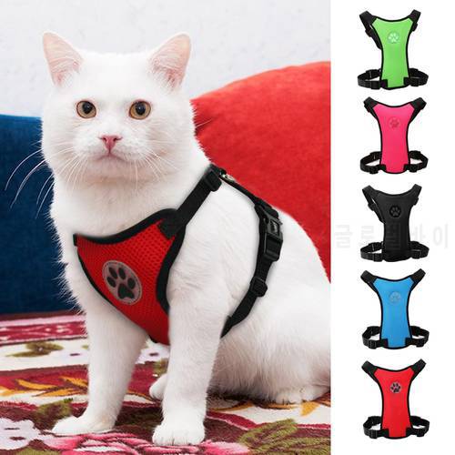 Mesh Cat Harness Nylon Cats Kitten Harness For Daily Walking Blue /Red/Green/Pink/Black