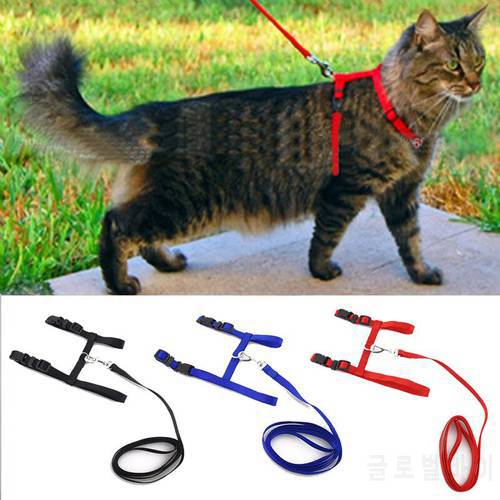 Cat Collar Harness Leash Adjustable Nylon Pet Traction Cat Kitten Dog HCollar gato Cats Products Pet Harness Belt