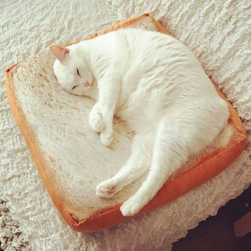 Pet Product Breathable Cat Bed Rest Dog Blanket Winter Foldable Pet Cushion Hondenmand Plush Soft Warm Sleep Mat Sweet Dream Bed