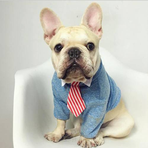 [MPK Cat Ties] Cute Pet Ties, Dog Collar Cat Collar, Pet Bow Ties, Dog Tie, Smart-Looking Pet Costume