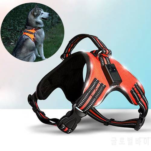 Rechargeable LED Harness for Pets Dog Tailup Nylon Led Flashing Light Dog Harness Collar Pet Safety Leash Belt Dog Accessories