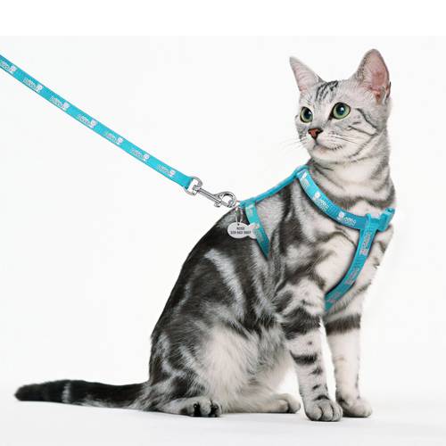 Personalized Cat Kitten Harness Nylon Cat Tag Harness and Leash Anti-Lost Free Engraved Fish Tag Name Phone Number
