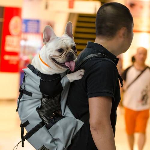 Pet Dog Outdoor Travel Backpack For Hiking Cycling Adjustable Reflective Carrier Bag For Dogs French Bulldog Pug Carrying Bags