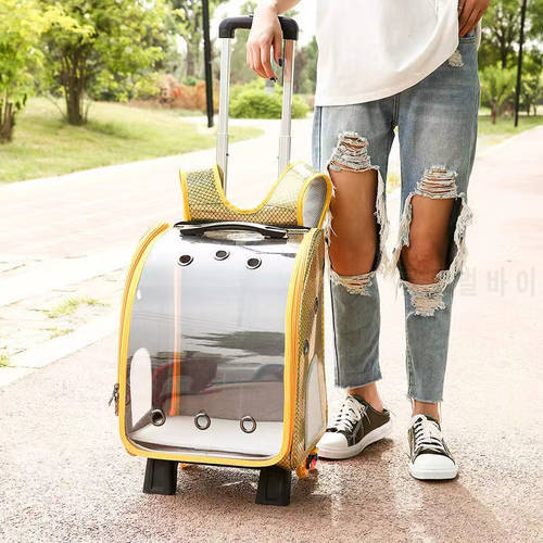 Cat Dog Trolley Case Pet Carrier Pet Supplies Outdoor Travel Transparent Double Shoulders Knapsack Space Capsule Cat Bag
