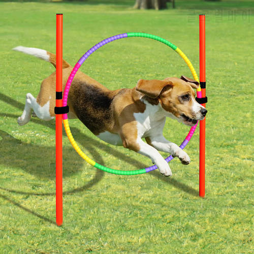 Dog Training Equipment Portable Dogs Jumping Tool Outdoor Dogs Running Stake Sports Stakes Pole Pet Agility Equipments Set