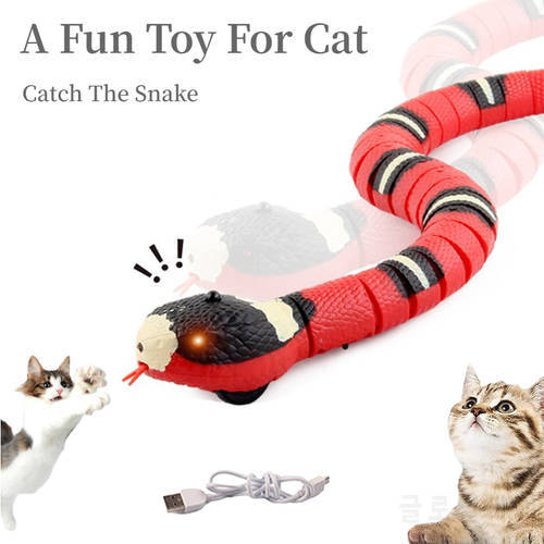 Novelty Snake Toy USB Smart Induction Funny Cat Interactive Gift Rechargeable Sensing Snake Tease Pet Cat Dog Play Mischief Toys