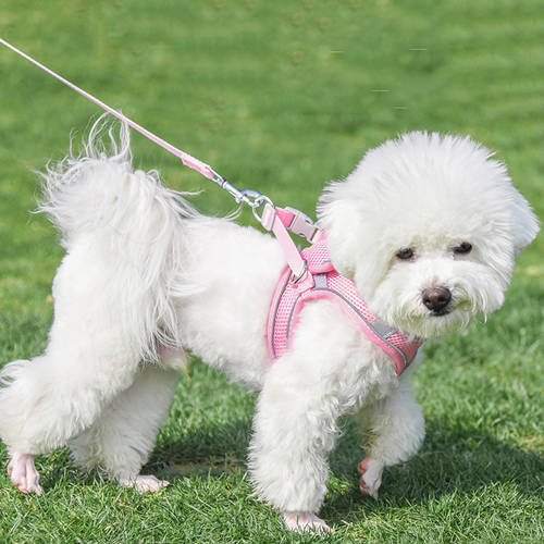 New Pet Leash Reflective Pet Chest Strap Breathable Dog Leash Comfortable Dog Leash Cat Leash
