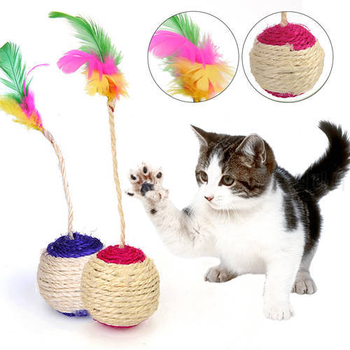 Cat Toy Pet Cat Scratching Ball Training Interactive Toy for Pet Cat Supplies Funny Play Feather Toy Cat Accessories