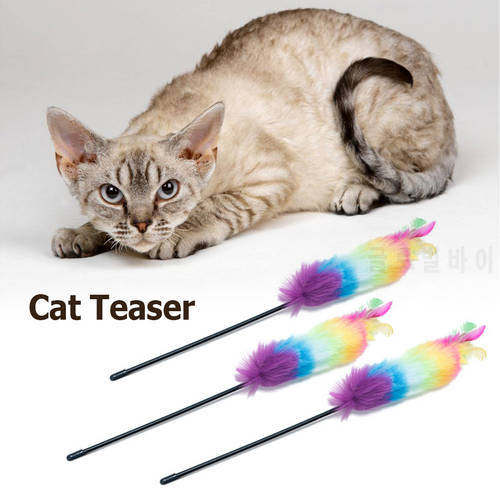 Cat Teaser Colorful Feather Stick Cat Toy for Kitten Funny Kitten Interactive Stick Cat Training Pet Toys Random Color