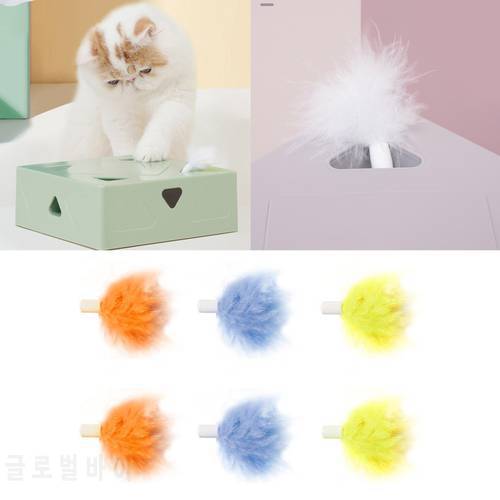 448B 6 Pcs Interactive Toy Feathers Replacements Head for FOFO Exercise Indoor Toy Tassel Toys Replacements