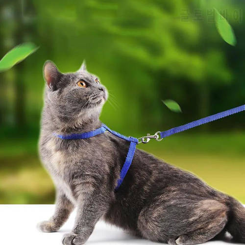 Escape-proof Small Dog Cat Harness Collar with Leash Set H Shape Choke Free Puppy Kitten Harness Soft Nylon Strap Collar for Pet