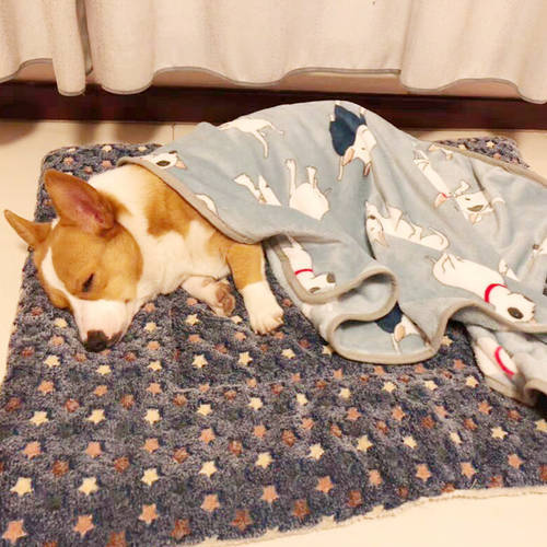 New Flannel Pet Mat Three Layer Pet Bed Autumn Winter Warm Soft Fleece Pet Cat Dog Blanket Pet Non-slip Cushion Pet Supplies