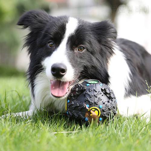 Pet Dog Toys Interactive Feeder Squeaky Sound for Outdoor Easy Carry Training Accessories Large Small Dog Toys Food Ball