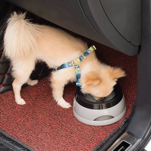 New Splash-proof Pet Bowl Dog Water Bottle For Vehicle Use Portable Drinking Bowls Feeding Water Dispenser Pet Dog Accessories