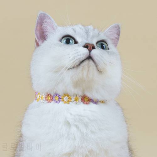 MPK Colorful Daisies Cat Collars Series In 3 Designs Free Size Light & Comfortable Cat Accessories Flowery Pet Collars