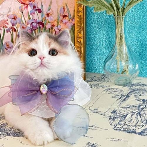 Handmade Original Custom Cat Dog Fairy Bow Ribbon Collar Pet Bandana Princess Elegant Pet Collar Puppy Katten Accessories